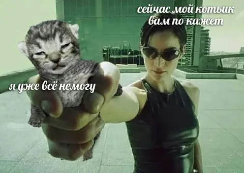 Я уже всё немогу