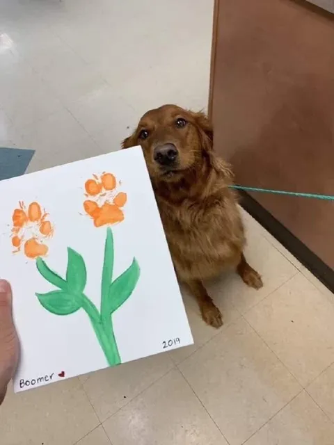 Dog Proudly Shows a Flower Drawing