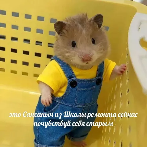 Сан Саныч из Школы ремонта