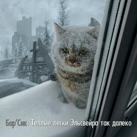 Тёплые пески Эльсвейра