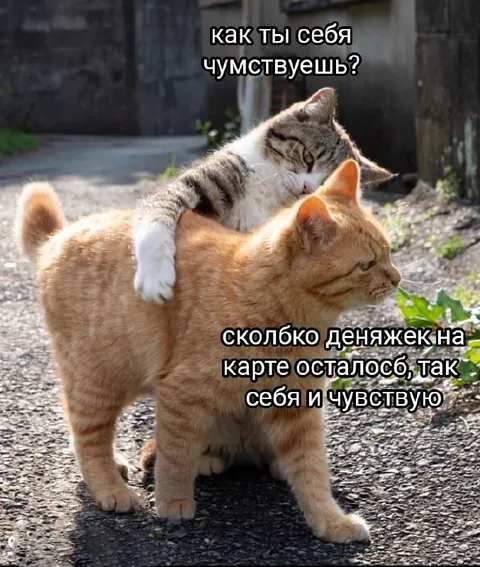 Сколько денег на карте