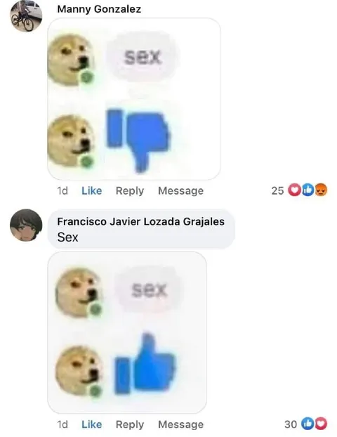 Doge Says Yes to Sex