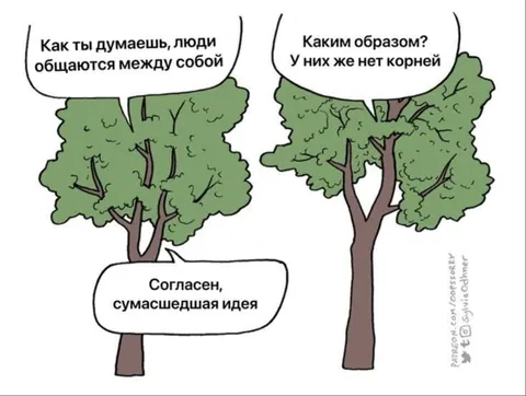 Разговор деревьев о людях