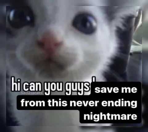 Cat Trapped in a Nightmare
