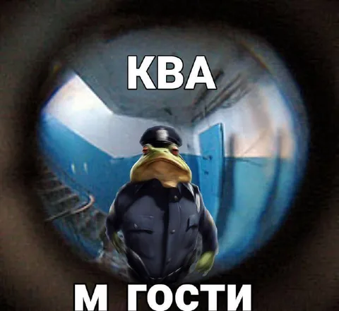 Ква, к вам гости