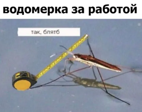 Водомерка за работой