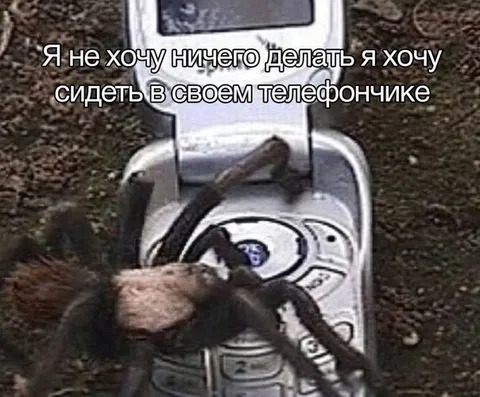 Сижу в своём телефончике