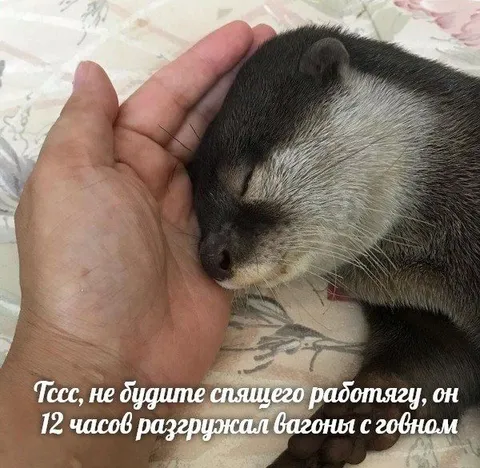 Спящий работяга после смены