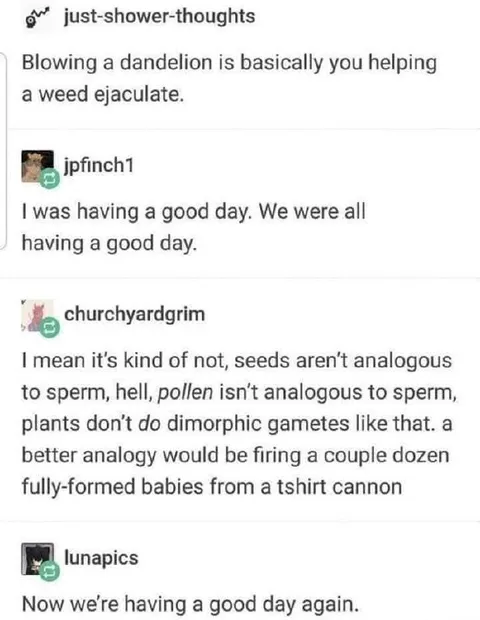 Dandelion Ejaculation Thought