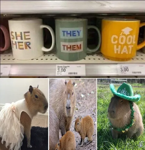 Capybara Cool Hat Mugs