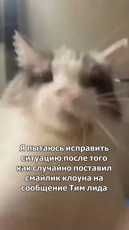 Смайлик клоуна для Тим Лиды