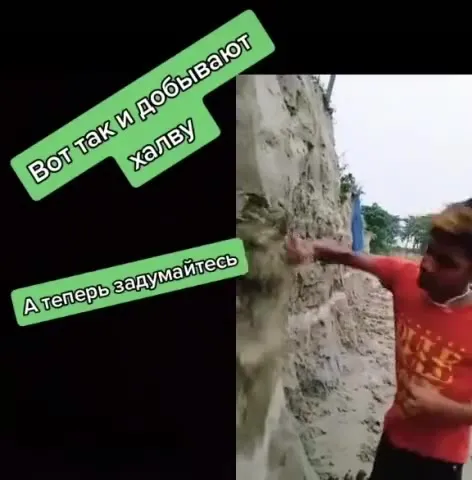 Сначала добывают халву, потом думайте