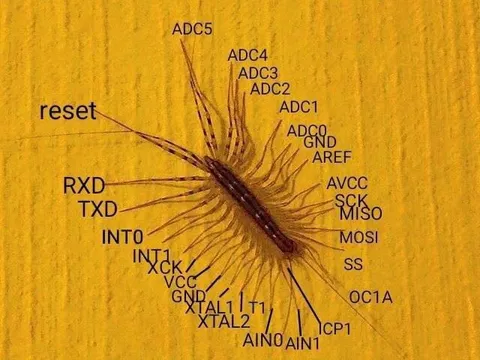 Caterpillar Arduino Pinout