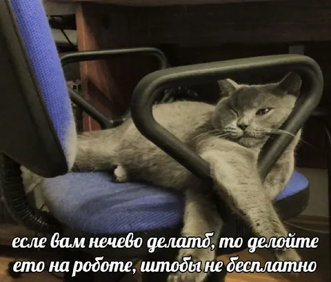 Нечего делать — делайте на работе