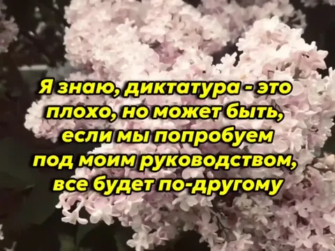 Диктатура под моим руководством