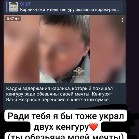 Ради тебя украл бы кенгуру