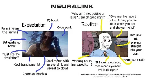Neuralink Expectation vs Reality