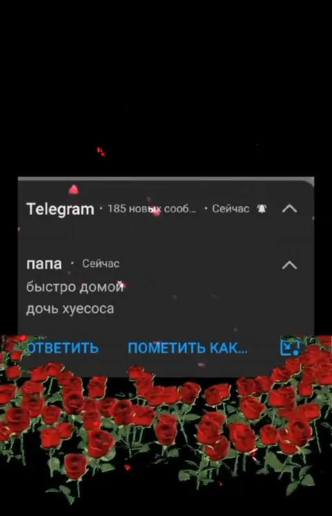 Папа, быстро домой