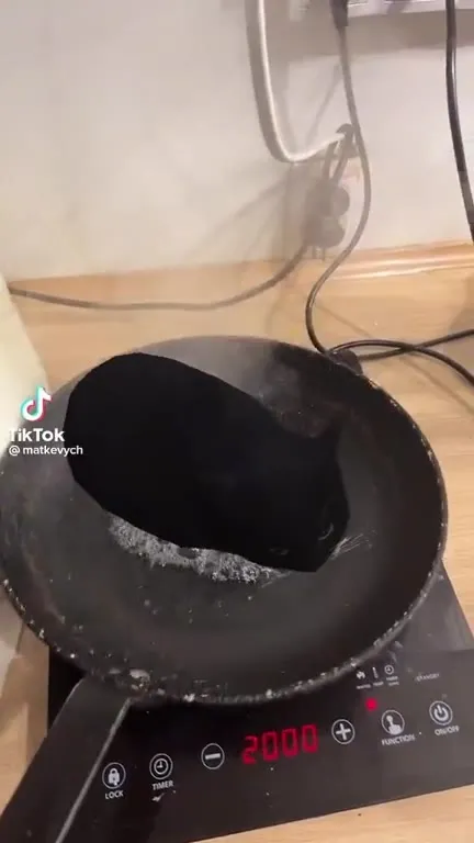 Кот Максвелл в раскалённой сковороде