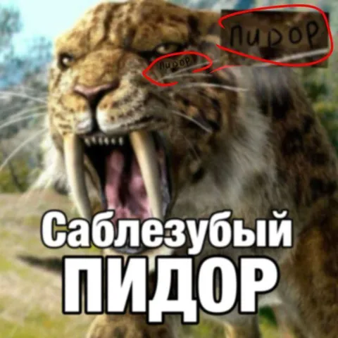 Саблезубый пидор