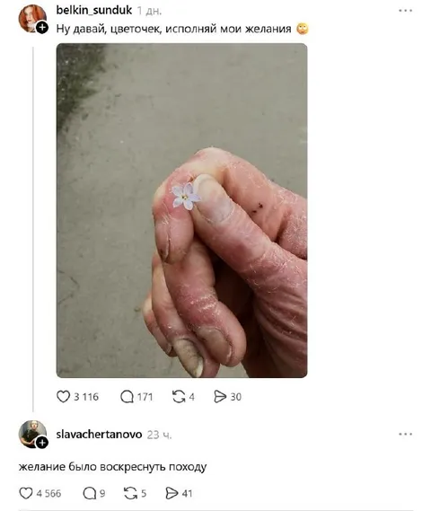 Цветочек исполняет желания
