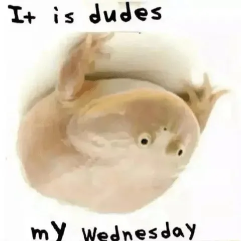 It Is Dudes My Wednesday