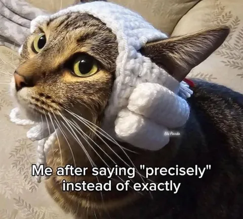 Cat After Saying Precisely