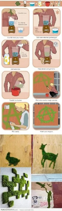 How to Make Moss Graffiti