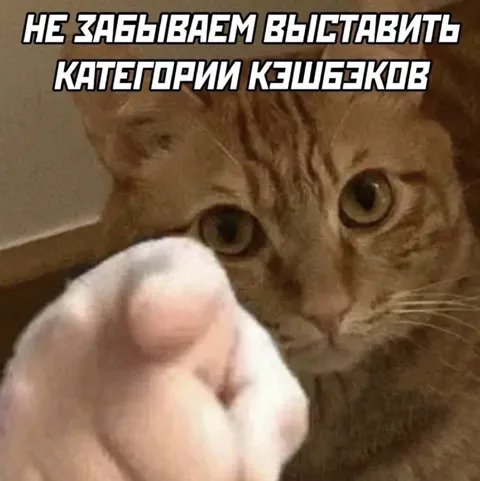 Не забываем выставить категории кешбэков