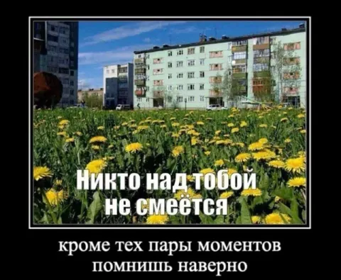 Никто над тобой не смеётся