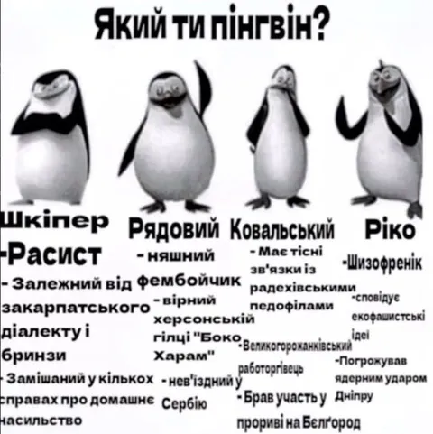 Який ти пінгвін?