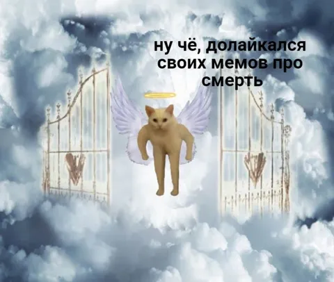 Долайкался мемов про смерть