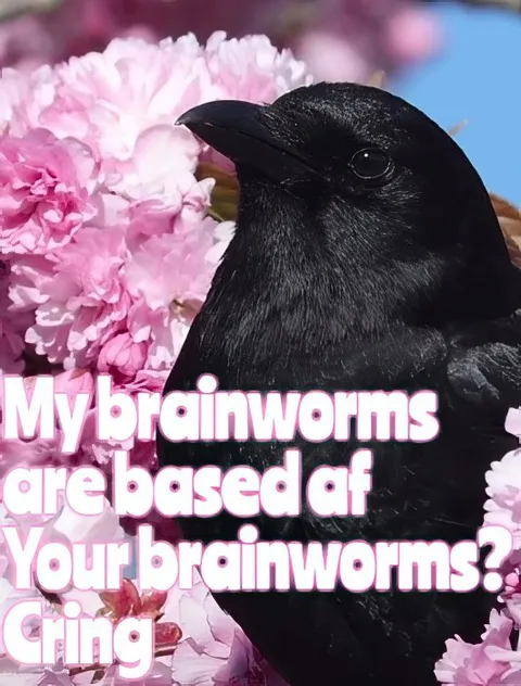 Crow Calls Your Brainworms Cringe