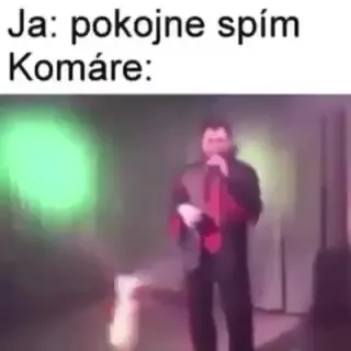 Ja pokojne spím, komáre koncertujú