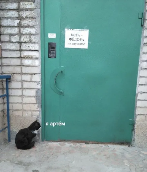 Кота Фёдора не впускать