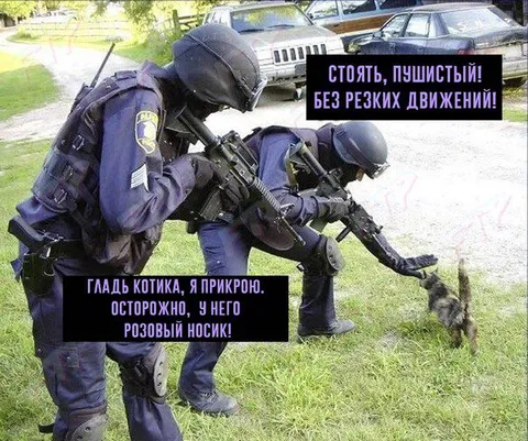 Спецназ гладит котика