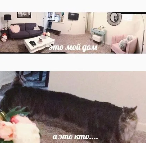Это мой дом, а это кто