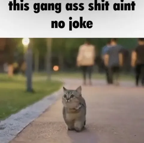 This Gang Ass Shit Ain't No Joke