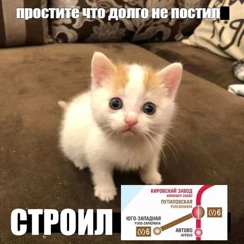 Кот долго строил метро