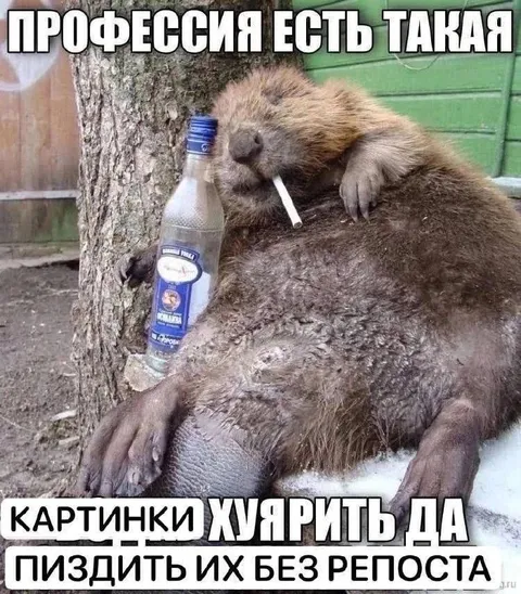 Профессия есть такая