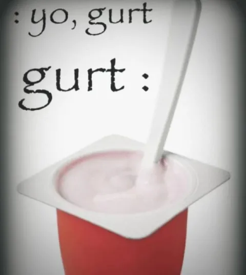 Yo Gurt Yogurt Pun