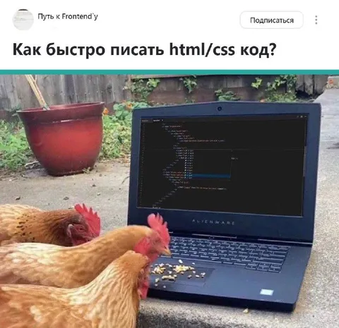 Куры пишут html/css код