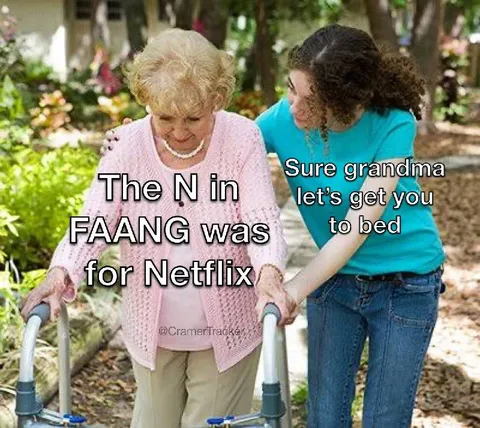 The N in F​​A​​A​​N​​G Was Netflix