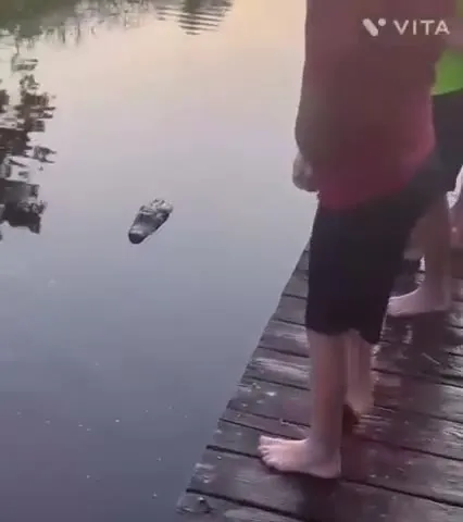 Толкнул друга в воду
