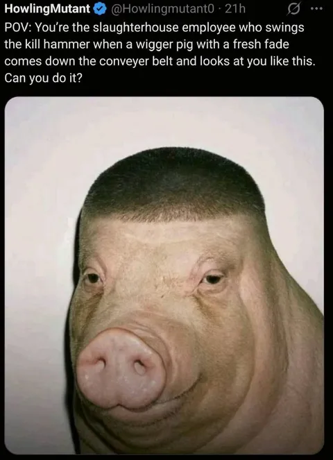 Pig With a Fresh Fade