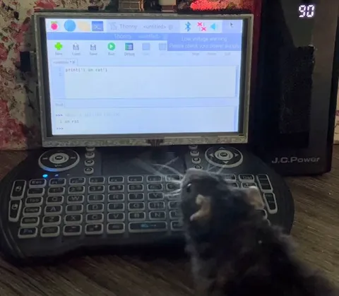 Rat Says I Am Rat