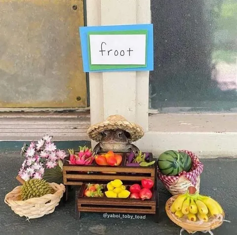 Froot Stand Frog Vendor