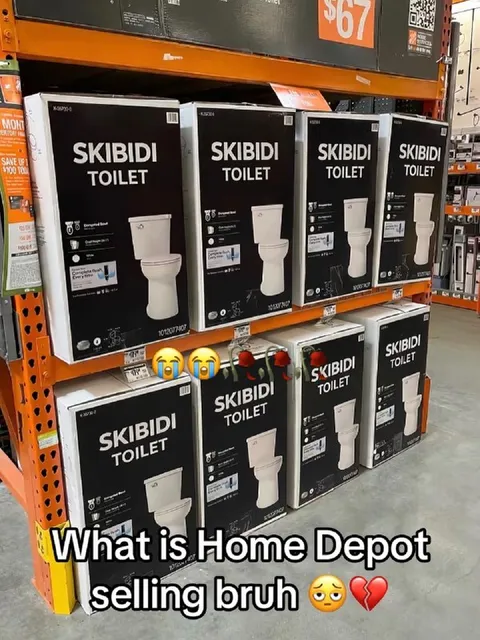 Home Depot Skibidi Toilets