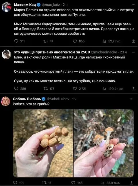 Русская оппозиция и конкретный план