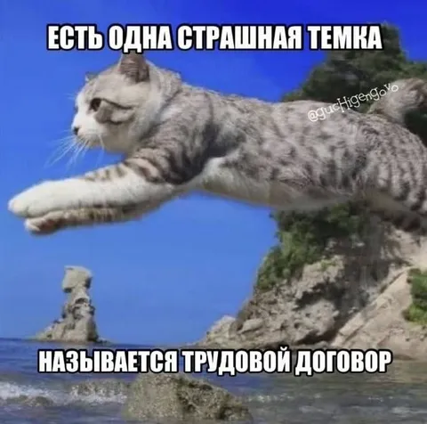 Страшная темка про договор